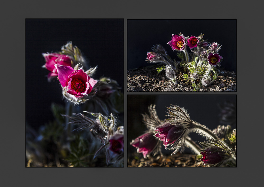 4. Platz Günter Bollenbacher